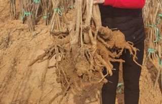 알 수 없음님의 자유주제 · 자유게시판 작성글 사진