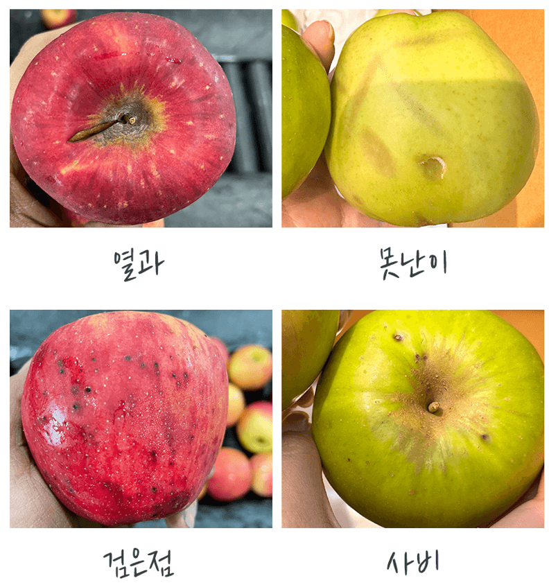 스피드번님의 장터 판매 상품 [여름 햇사과 썸머킹] 첨부 사진