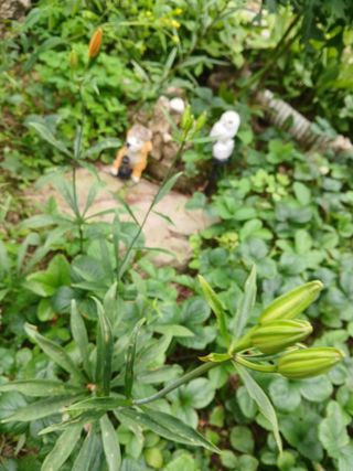 인생은 소풍처럼님의 자유주제 · 자유게시판 작성글 사진