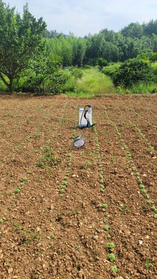 권리를위한투쟁님의 자유주제 · 자유게시판 작성글 사진