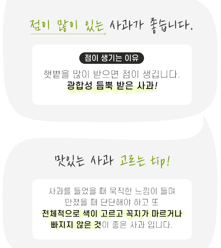 스피드번님의 장터 판매 상품 [여름 햇사과 썸머킹] 첨부 사진