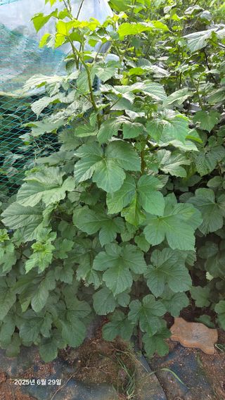 이종선님의 작성글 사진