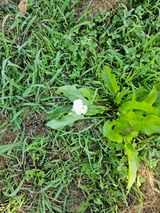 팜모닝 자유주제·자유게시판 게시글 이미지