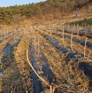알 수 없음님의 자유주제 · 자유게시판 작성글 사진