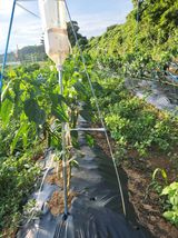 팜모닝 자유주제·자유게시판 게시글 이미지