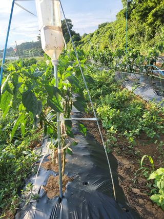 자.담.스.팜님의 자유주제 · 자유게시판 작성글 사진