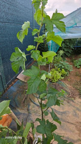 이종선님의 작성글 사진