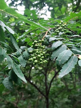 몽자아빠님의 자유주제 · 자유게시판 작성글 사진