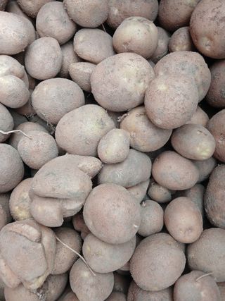 최광순님의 작성글 사진