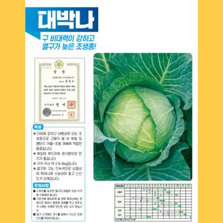 아시아종묘님의 자유주제 · 자유게시판 작성글 사진