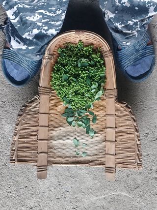 몽자아빠님의 자유주제 · 자유게시판 작성글 사진