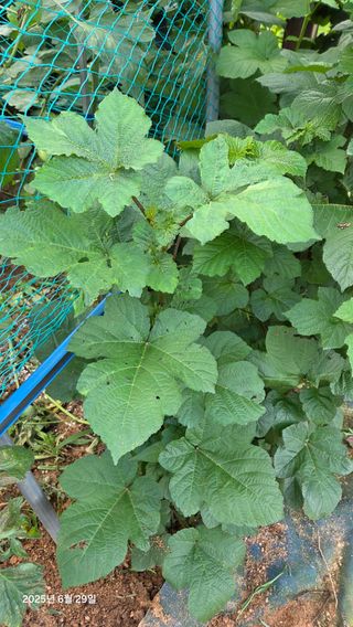 이종선님의 작성글 사진