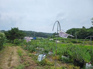 김강호님의 자유주제 · 자유게시판 작성글 사진