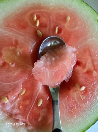 Captain김상곤님의 자유주제 · 자유게시판 작성글 사진