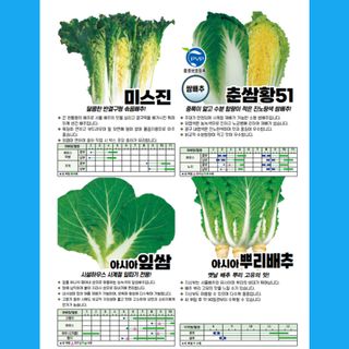 아시아종묘님의 자유주제 · 자유게시판 작성글 사진