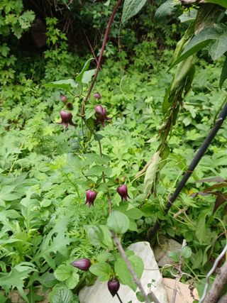 인생은 소풍처럼님의 자유주제 · 자유게시판 작성글 사진