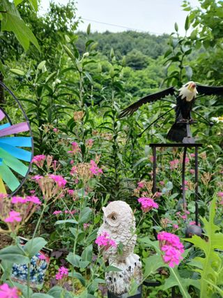 인생은 소풍처럼님의 자유주제 · 자유게시판 작성글 사진