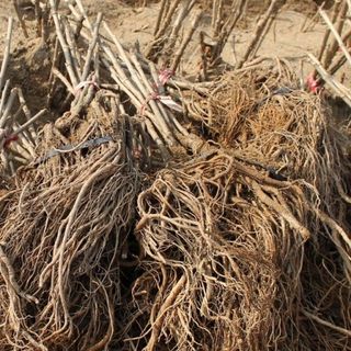 알 수 없음님의 자유주제 · 자유게시판 작성글 사진
