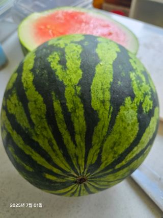 Captain김상곤님의 자유주제 · 자유게시판 작성글 사진