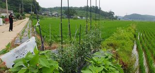 이흥옥님의 자유주제 · 자유게시판 작성글 사진