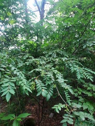 몽자아빠님의 자유주제 · 자유게시판 작성글 사진