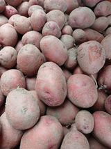 팜모닝 · 게시글 이미지