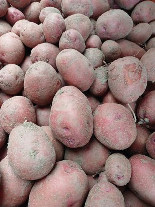 최광순님의 작성글 사진