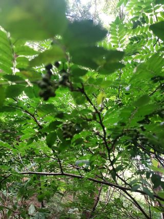 몽자아빠님의 자유주제 · 자유게시판 작성글 사진