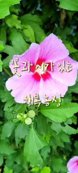 팜모닝 자유주제·자유게시판 게시글 이미지