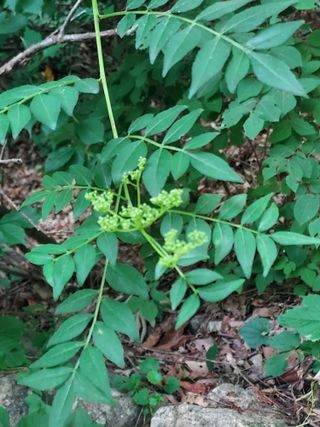 몽자아빠님의 자유주제 · 자유게시판 작성글 사진