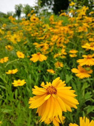 인생은 소풍처럼님의 자유주제 · 자유게시판 작성글 사진