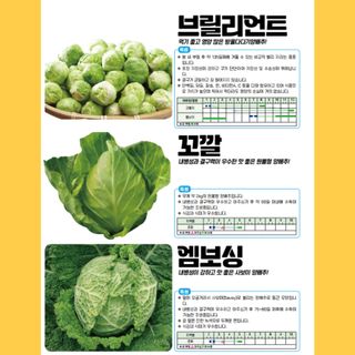 아시아종묘님의 자유주제 · 자유게시판 작성글 사진