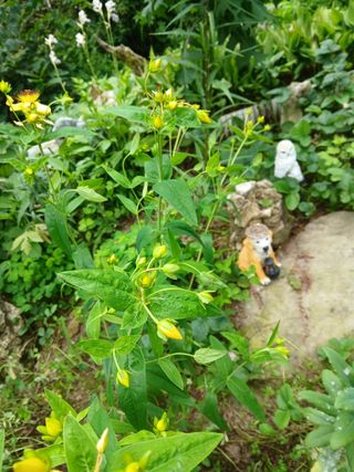 인생은 소풍처럼님의 자유주제 · 자유게시판 작성글 사진