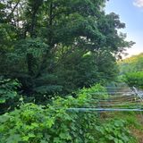 팜모닝 농사, 무엇이든 물어보세요!·참여글 게시글 이미지