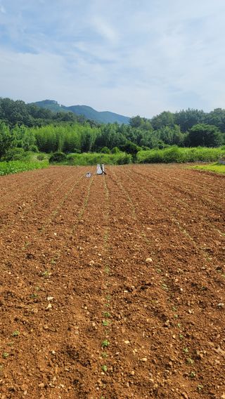 권리를위한투쟁님의 자유주제 · 자유게시판 작성글 사진