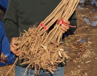 알 수 없음님의 자유주제 · 자유게시판 작성글 사진