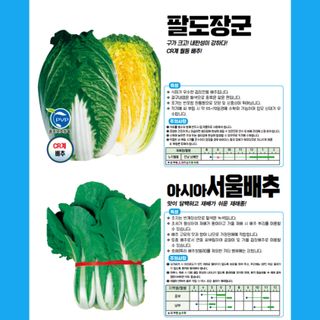 아시아종묘님의 자유주제 · 자유게시판 작성글 사진