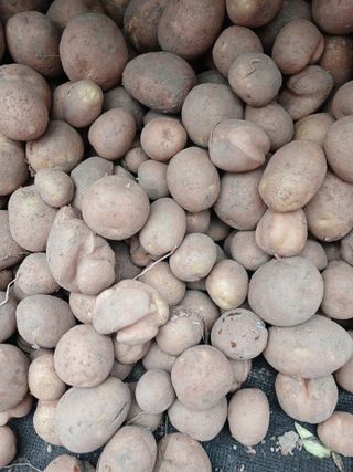 최광순님의 작성글 사진