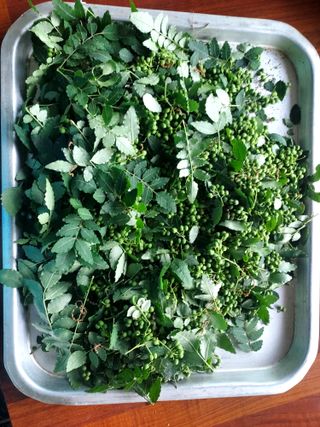 몽자아빠님의 자유주제 · 자유게시판 작성글 사진