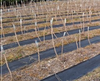 알 수 없음님의 자유주제 · 자유게시판 작성글 사진