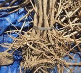 팜모닝 자유주제·자유게시판 게시글 이미지