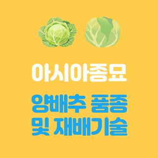 아시아종묘님의 자유주제 · 자유게시판 작성글 사진