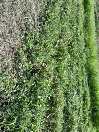 김민수산에서농사중님의 자유주제 · 자유게시판 작성글 사진