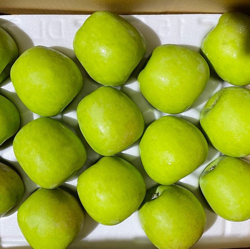 장터 상품 [여름 햇사과 썸머킹] 썸네일