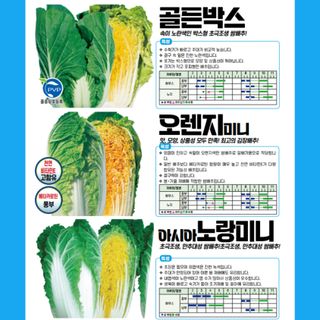 아시아종묘님의 자유주제 · 자유게시판 작성글 사진