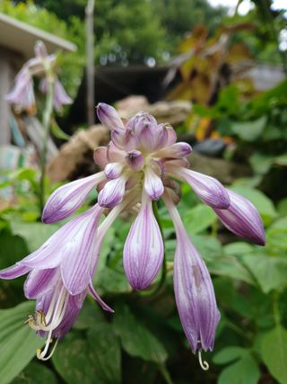 인생은 소풍처럼님의 자유주제 · 자유게시판 작성글 사진