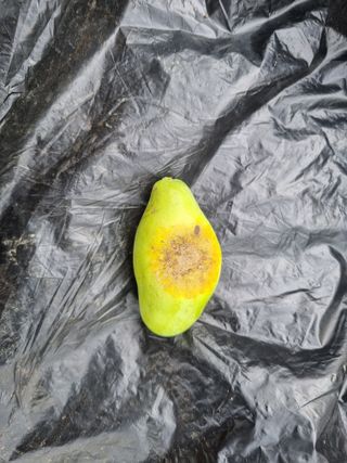 이종선회원님의 자유주제 · 자유게시판 작성글 사진