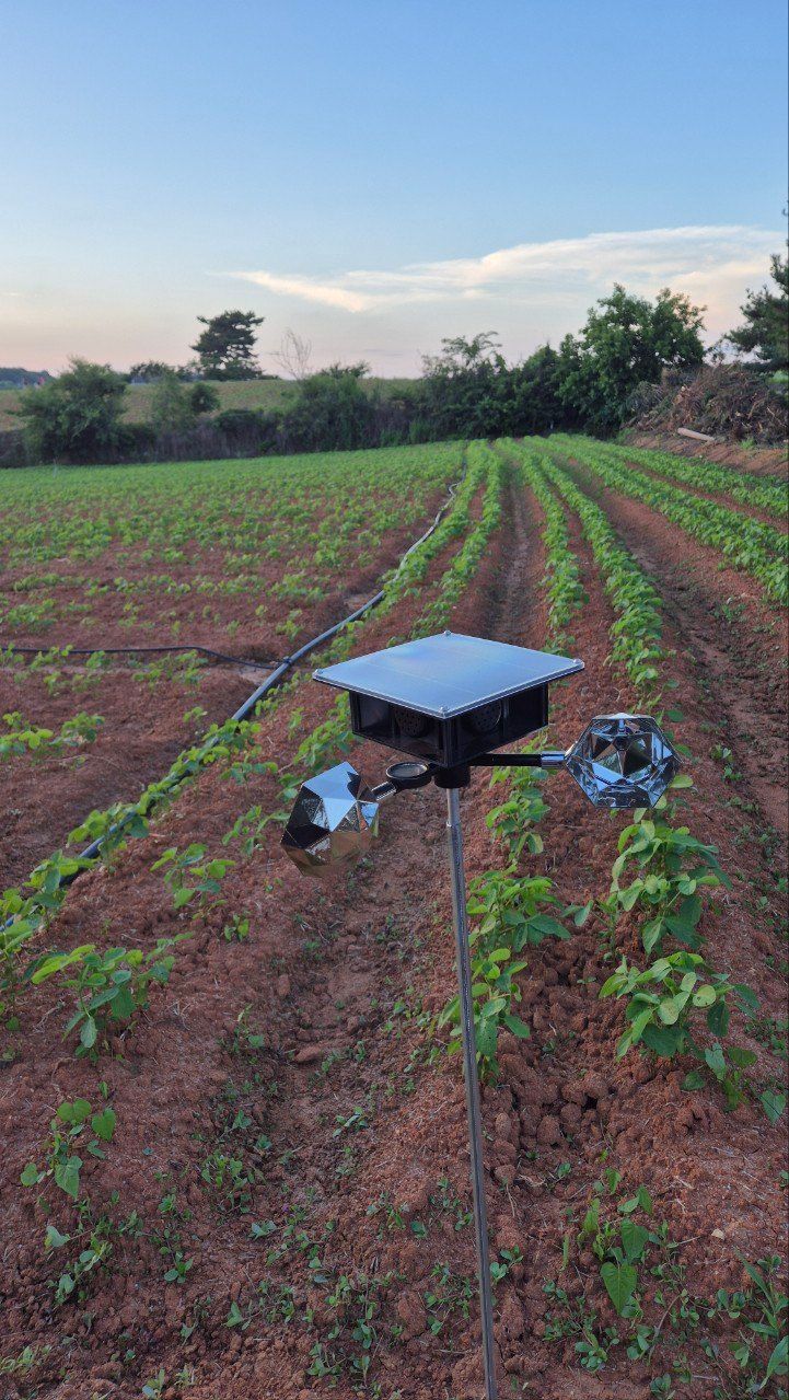 전순덕.동신유통님의 장터 판매 상품 [빅 점보 조류퇴치기] 첨부 사진