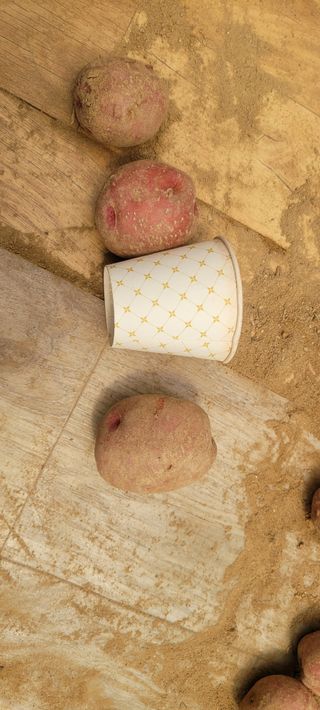 딸랑구와땡보님의 작성글 사진