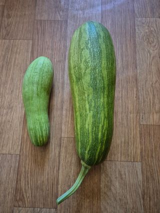 김정환님의 자유주제 · 자유게시판 작성글 사진